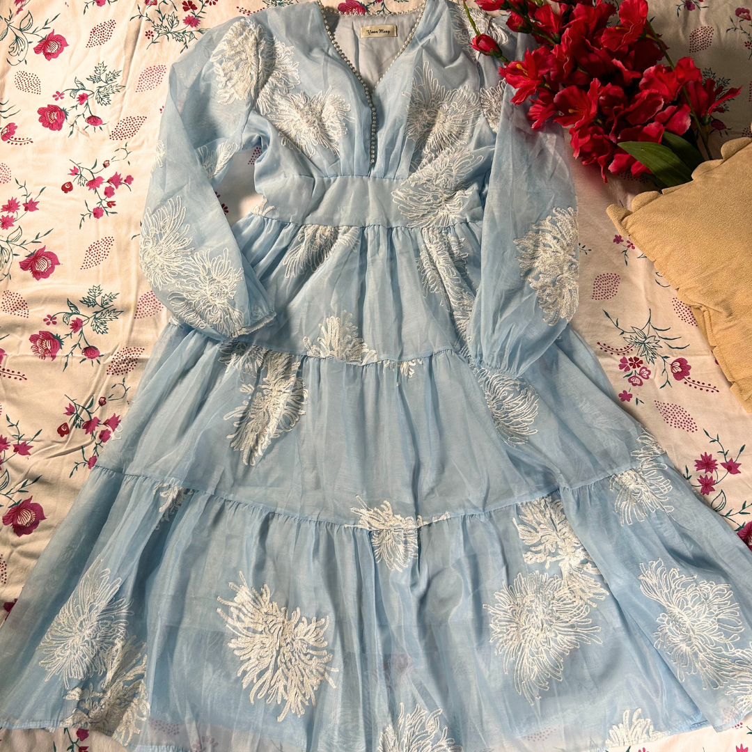 Cinderella Mist Embroidered Organza Flare Dress
